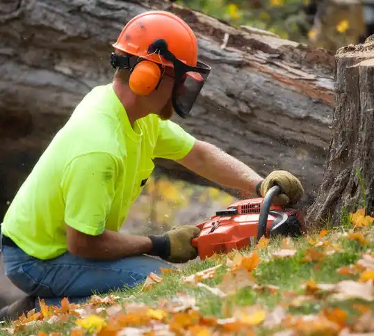 tree services Flowood